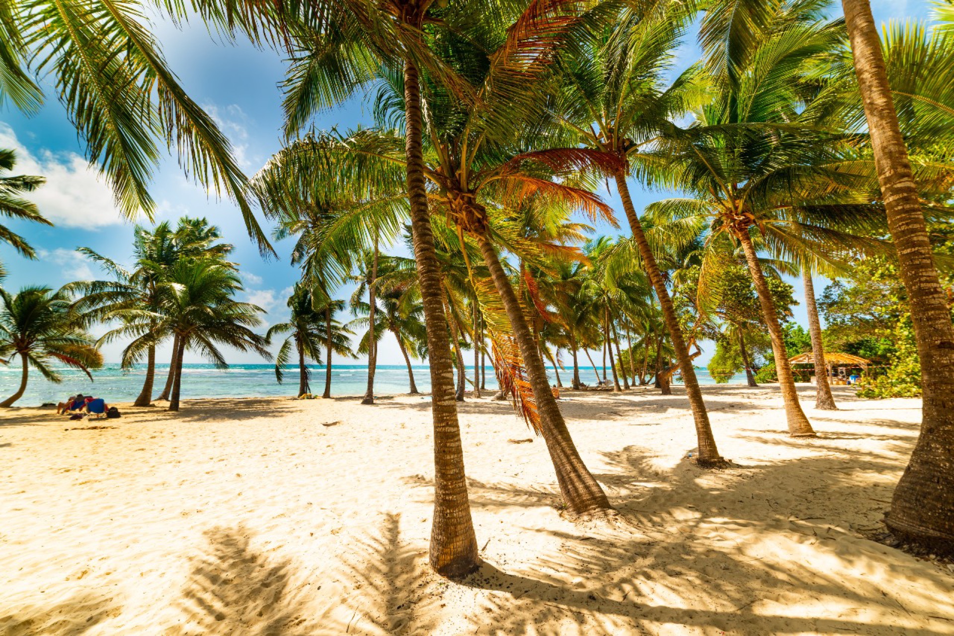 Karibik — jachting