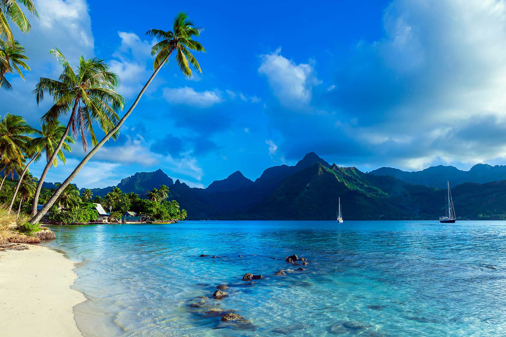 Rangiroa Dream Premium 2026