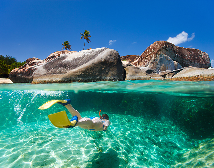 Tortola Dream Premium 2026